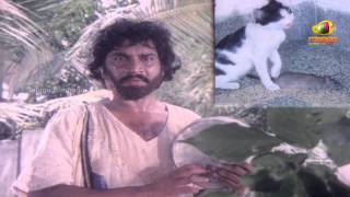 Chattaniki Kallu Levu Movie Songs - Chattaniki Kallu Levu Song - Chiranjeevi, Madhavi, Lakshmi