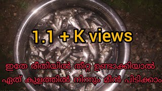 പാറ കുളത്തിലെ #മീൻപിടുത്തം #fishing