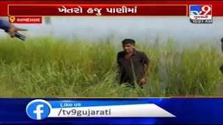 Ahmedabad: Fields in Dholka taluka still waterlogged, farmers in pitiable condition | TV9News