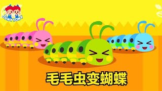 Caterpillar to Butterfly  毛毛虫变成蝴蝶