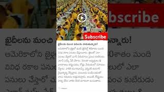 ఖైదీలను మంచి పనులకు వాడుతున్నారు!#trending #ytshorts #amaricalive #minivlog #miniutuber #viralvideo