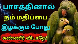 💥யாரிடமும் எதையும் எதிர்பார்க்காதே! | வாழ்க்கையின் உண்மைகள்#155 | BUDDHAQUOTES🔥