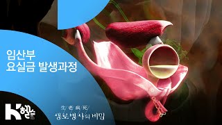 임산부 요실금 발생과정 - (20190130_681회 방송) 쉬쉬하다 내가 키운 고통, 배뇨장애