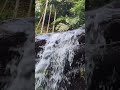 waterfall in palakkayam shiruvani mannarkkad palakkad kerala