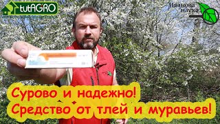 КОПЕЕЧНОЕ АПТЕЧНОЕ СРЕДСТВО ИЗГОНИТ МУРАВЬЕВ ОТКУДА НАДО! Забудете про тлей и муравьев НАДОЛГО!