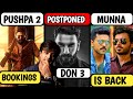 Pushpa 2 Advance Bookings, Don 3 Again Postponed, Munna Bhaiya Is Back With Big Stage