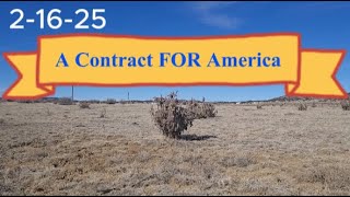 A Contract For America