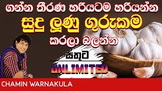 ගන්න තීරණ හරියටම හරියන සුදුළුුණු ගුරුකම | Dr Chamin Warnakula | NETH FM UNLIMITED SATHUTA