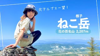 長野の夏山シーズン!【ねこ岳】知らなくて損してた北アルプスの絶景。初心者おすすめ♡