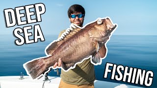SEA MONSTERS OVER 1000 Ft. DEEP! Ultra CLEAR WATER!