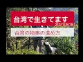 台湾からpodcast【台湾で生きてます20210818】台湾の物事の進め方