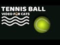 GAME FOR DOGS AND CATS -Tennis Ball. Video for Dogs and Cats to Watch.