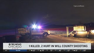 1 killed, 2 hurt in Will County, Illinois shooting