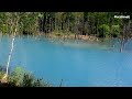 青い池 @北海道美瑛町 blue pond in biei hokkaido