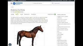 Research in Credo Reference
