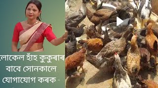 #লোকেল কুকুৰা ফাৰ্ম#হাঁহ পালন #কুকুৰা পালন