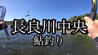 長良川中央　鮎釣り　鮎の瀬　笠神