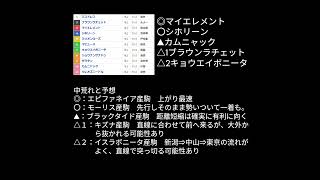 2024年アルテミスステークス #競馬予想 #アルテミスステークス