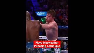 Floyd Mayweather using Beautiful punching