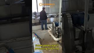 Sweet potato starch processing plant sweet potato starch processing machines