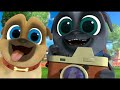 Puppy Dog Pals - Season 4 - All Songs - Part 2