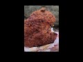 deep fried barbecue chicken steak taiwanese street food 台灣士林夜市排隊美食碳烤雞排