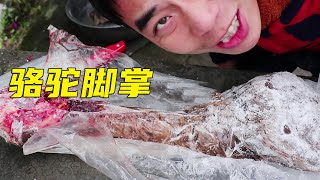 Buy a camel foot pole for 180 yuan and cook it for one night before eating!