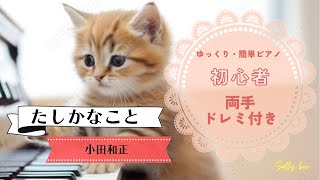 たしかなこと/小田和正　初心者ピアノ　ドレミ付き　ゆっくり練習