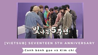 [VIETSUB] [SPECIAL VIDEO] SEVENTEEN KỈ NIỆM 5 NĂM RỰC RỠ