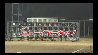 【佐賀競馬】ニューイヤーカップ2020　オヤコダカ移籍初戦