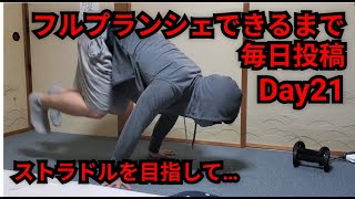 【Day21】フルプランシェ出来るまで毎日投稿 - Road to full planche -