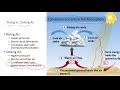 APES Topics 4.4-4.5 Earths Atmophere and Global Wind Patterns