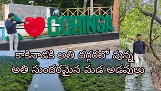 | CORINGA WILDLIFE SANCTUARY | KAKINADA | GODAVARI | @chakriworld@chakriworld@chakriworld