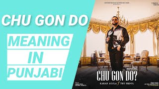 Chu Gon Do Meaning in Punjabi | Karan Aujla BTFU Album First Song