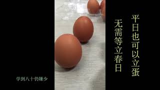 学到80仍嫌少 立蛋 一年四季天天都可以 无需等立春日 Stand egg / egg balancing can do everyday