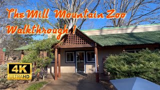 The Mill Mountain Zoo Walkthrough! The Smallest Zoo I Ever Visited! #zoo #animals #virginia