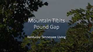 Mountain Tidbit:  Pound Gap