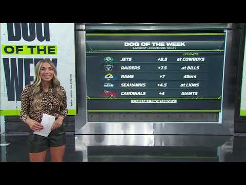 My DOG Of The Week 💰 | NFL Countdown - YouTube