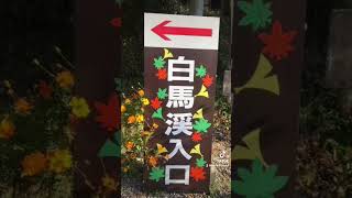 白馬渓を歩く　臼杵市　大分県