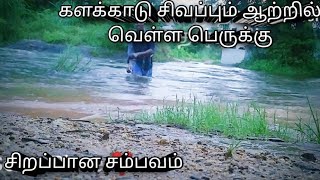 Kalakad சிவப்புரம் ஆற்றில் வெள்ள பெருக்கு 🌊#kalakad #kutty #vivasayi