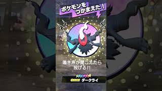 鳴き声が聞こえたら投げる!!ポケモンメザスタ(pokemon mezasuta)ゴージャススター３弾