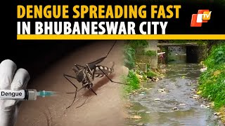 Dengue Spreading Fast In Bhubaneswar, Nayapalli IRC Turns Hotspot | OTV News