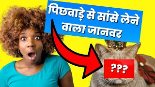 Mind Blowing Facts in Hindi 🤯🧠 Amazing Facts | Human Psychology | Top 10 #shorts #shortvideo  #facts