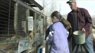 "On Coal River" four minute trailer