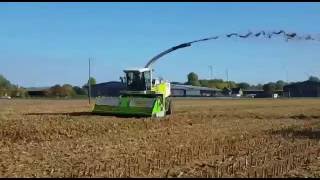 Biogas Maisstroh aufsammeln mit Häcksler und Strohmax 5000-2