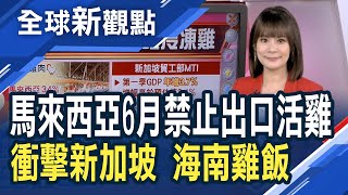 烏俄戰爭+禽流感流行 馬來西亞鬧「雞荒」！大馬政府：6/1起禁止活雞出口 禁令新加坡首當其衝 招牌菜海南雞飯跟著喊漲│主播 曾鐘玉│全球新觀點20220531