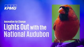 Innovation for Change: Lights Out with National Audubon Society and KPMG