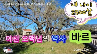 이천 오백년의 역사 바르 BAR(내 차 타고 유라시아 156/몬테네그로)