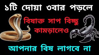 ১টি দোয়া ৩বার পড়লে বিষাক্ত সাপ বিচ্ছু কামড়ালেও আপনার বিষ লাগবে না। #islam #islamic #islamicvideo