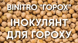 Інокулянт для гороху BiNitro ENZIM Biotech - Склад, норма витрат, переваги, пакування, де купити